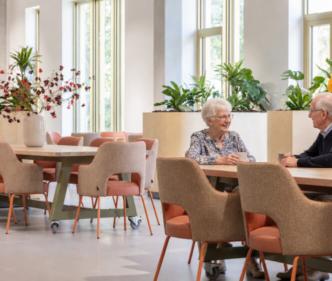 Thereca is projectinrichter in de zorg