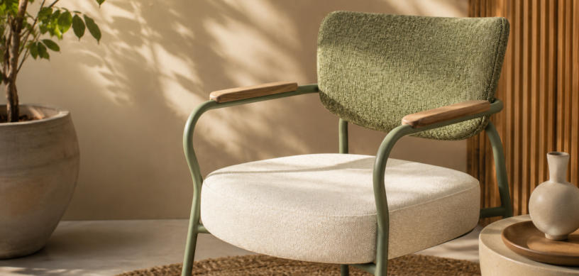 Chat Fauteuil
