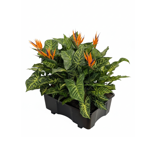 Tray kunstbeplanting - Mix C
