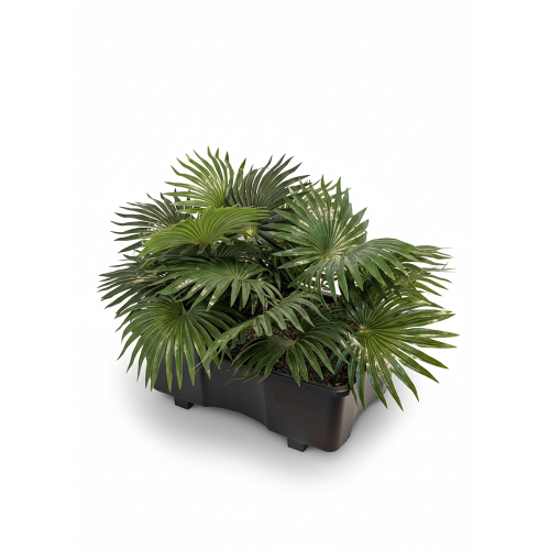 Tray kunstbeplanting - Mix N